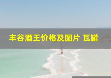 丰谷酒王价格及图片 瓦罐